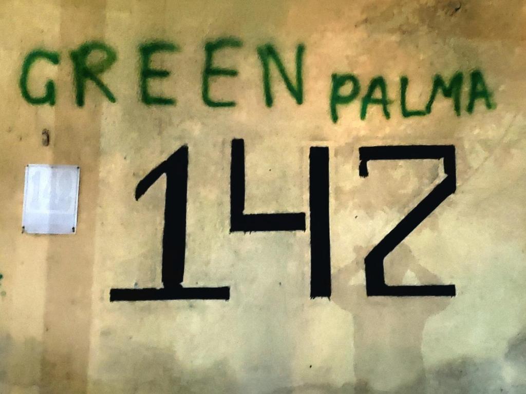 Green Palma room 3